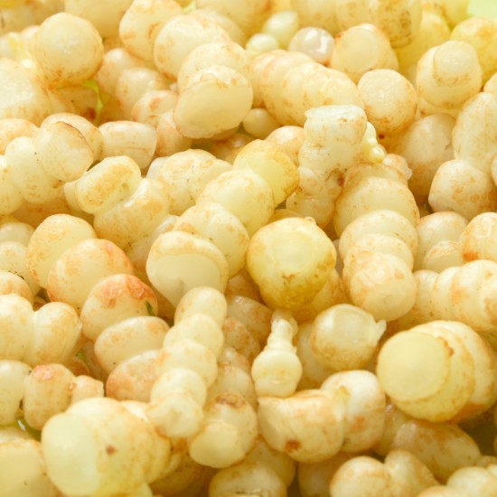 Crosnes Natures