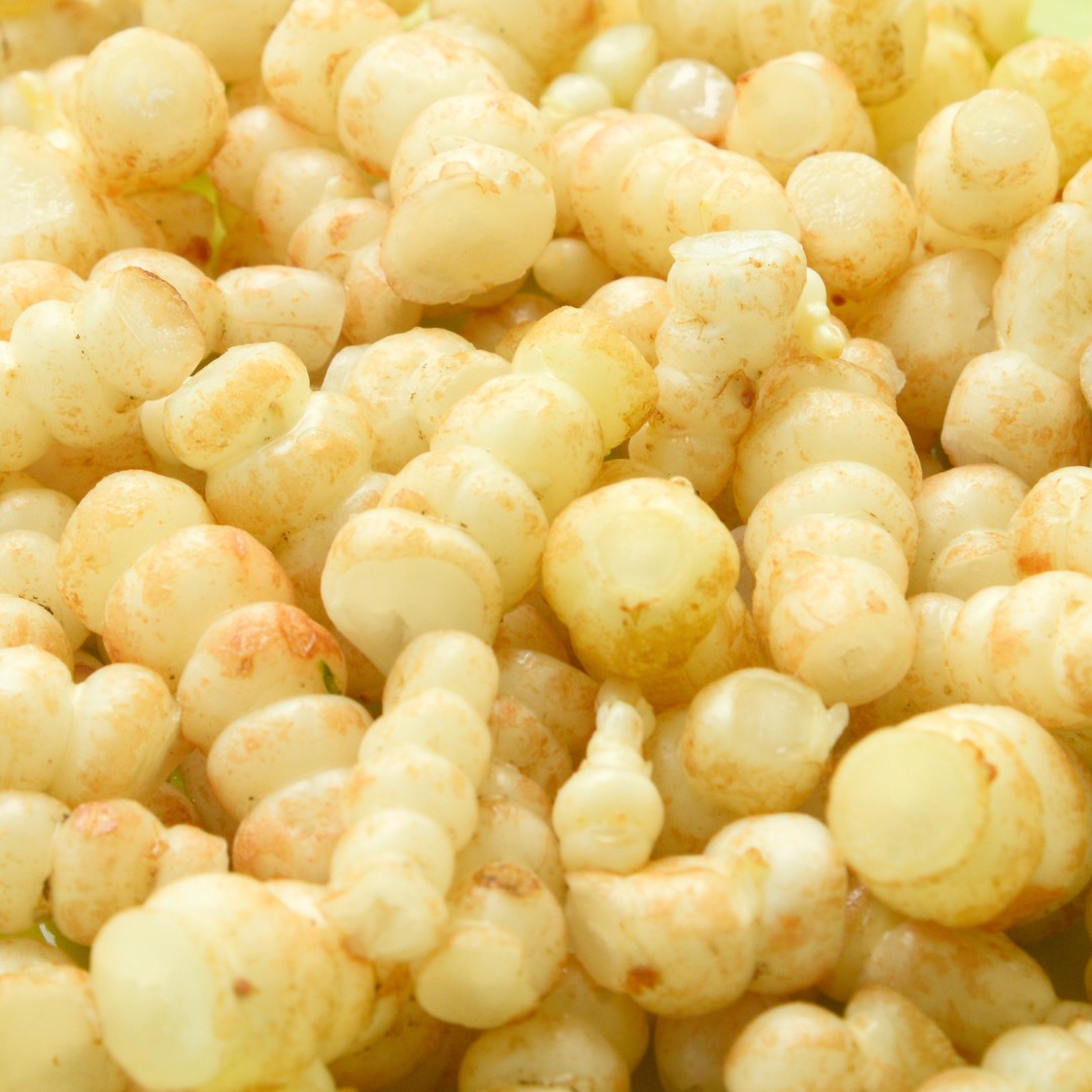 Crosnes Natures 1kg