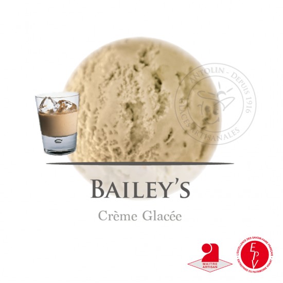 Bac 2.5L - Crème Glacée Bailey's