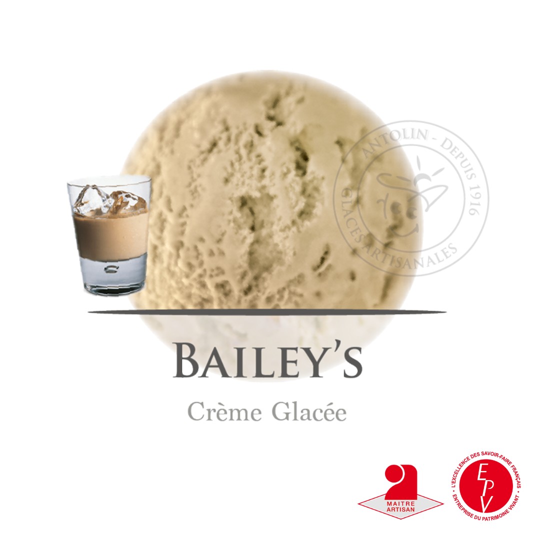 Bac 2.5L - Crème Glacée Bailey's