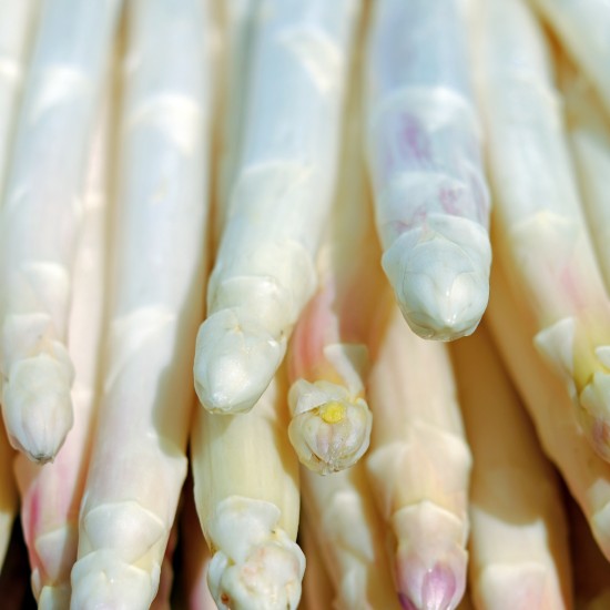 Asperges Blanches Epluchées 1kg