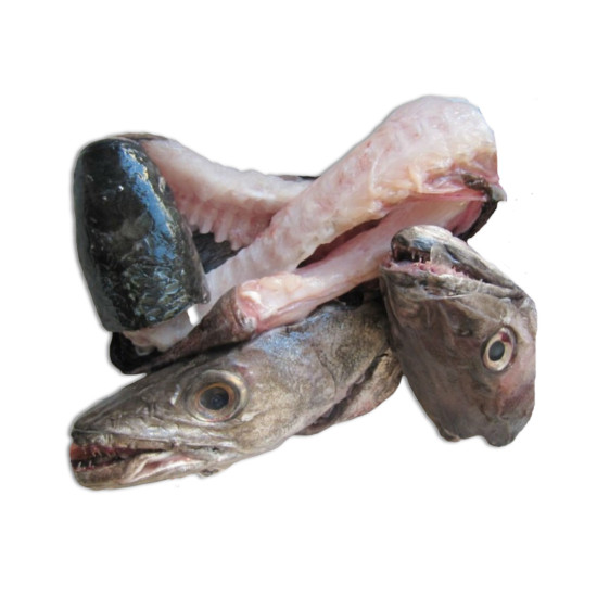 Arêtes de Poissons avec tête