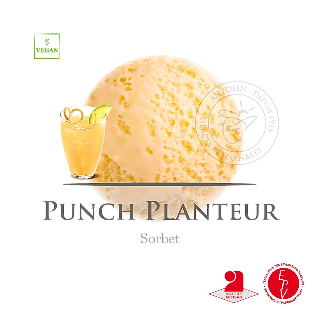 Le sorbet saveur punch planteur 2.5L