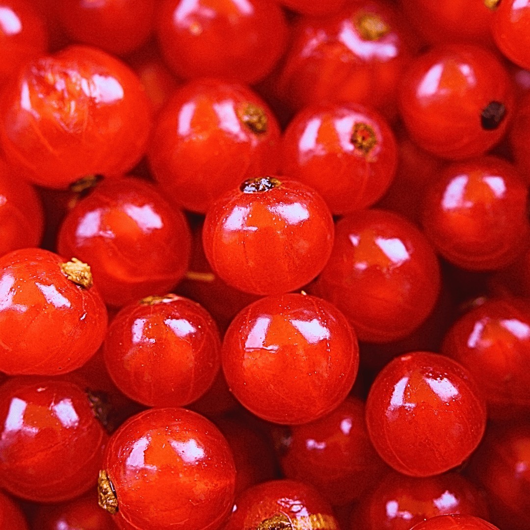 Groseilles entières, surgelées IQF 1kg