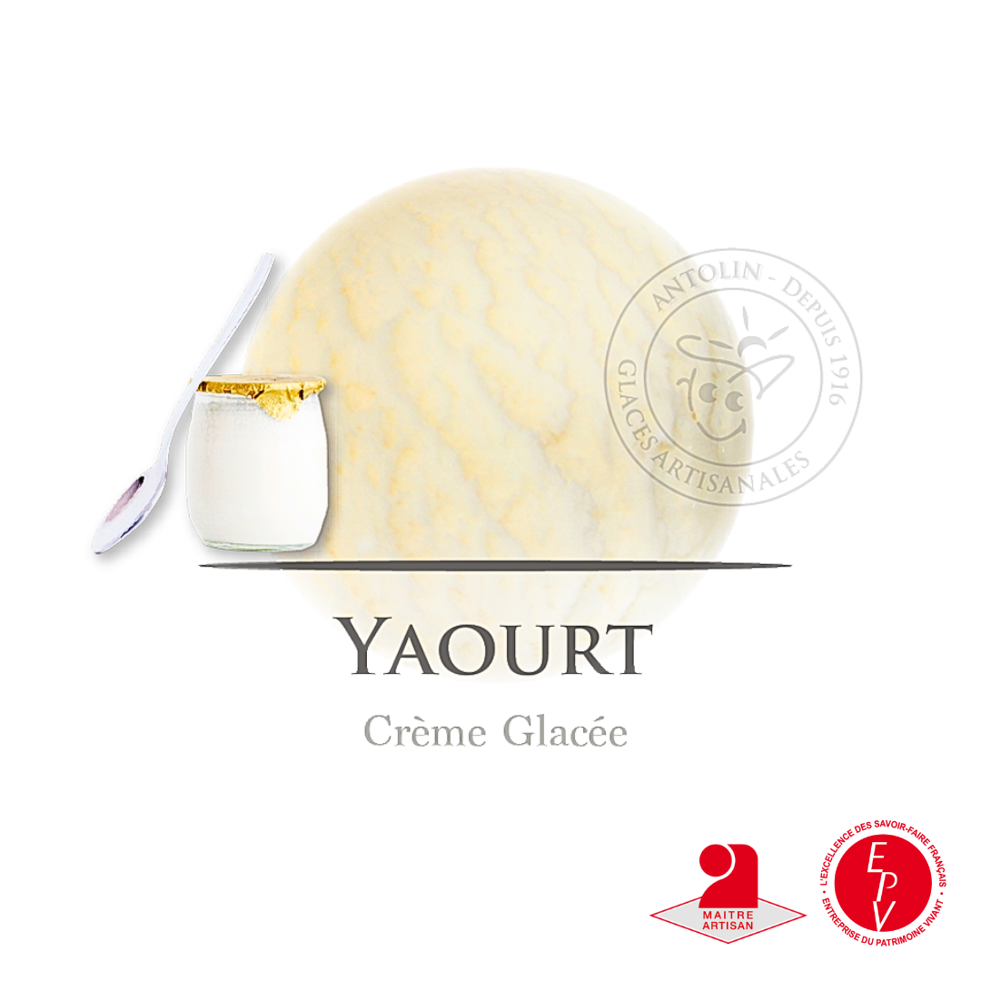 Crème glacée yaourt nature de la maison Antolin