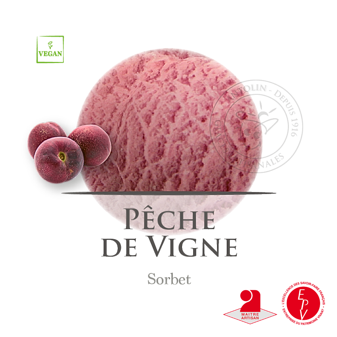 Sorbet artisanal pêche de vigne de chez Antolin