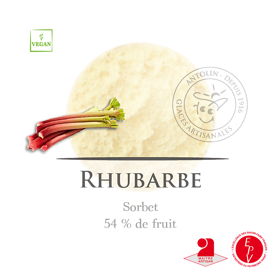 Sorbet rhubarbe artisanal de la maison Antolin