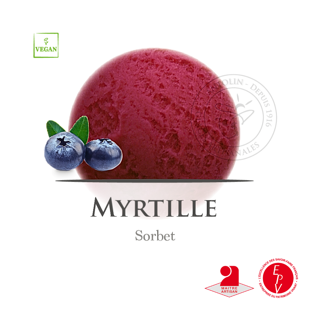 Sorbet artisanal myrtilles de chez Antolin