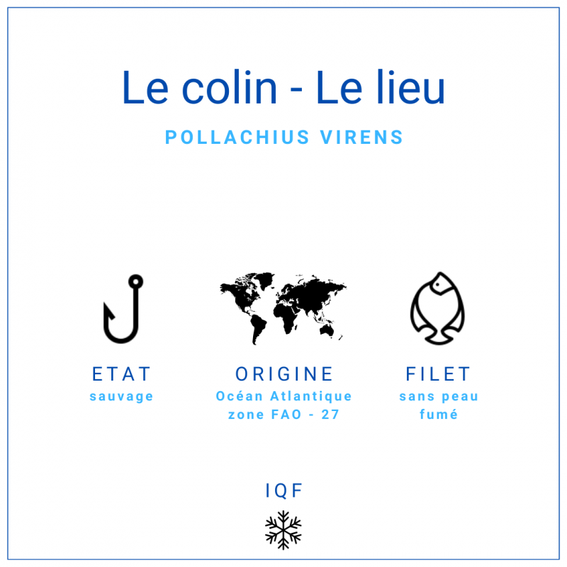 Filet de colin lieu fumé sans peau IQF