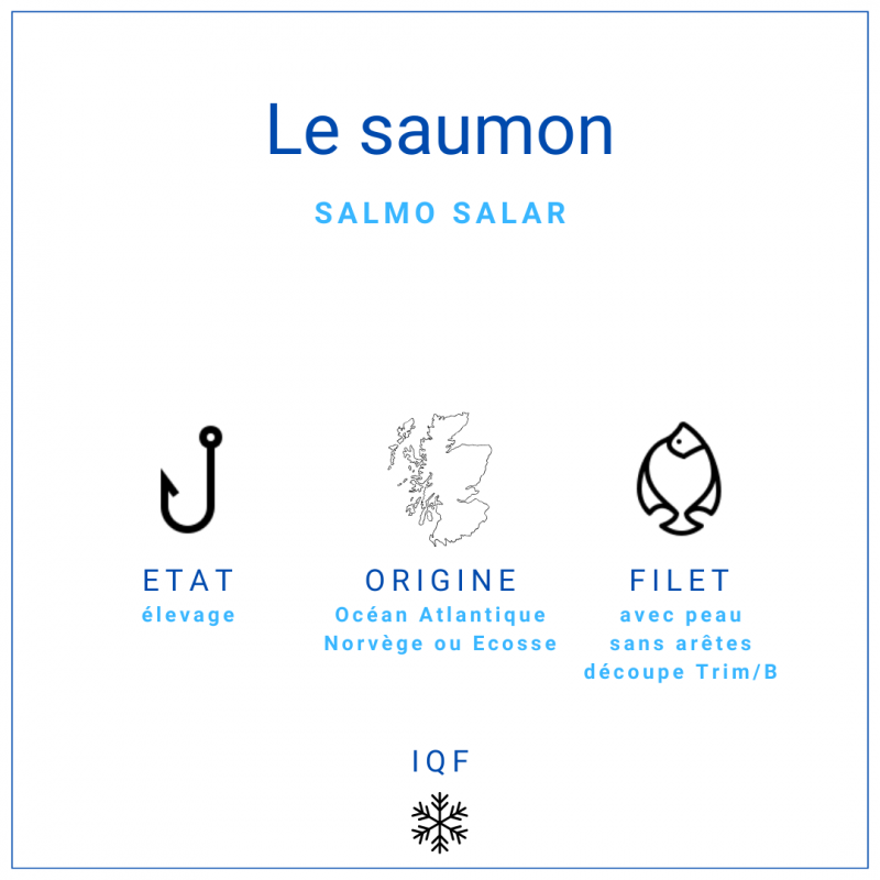 Filet de saumon TRIM B nature avec sa peau