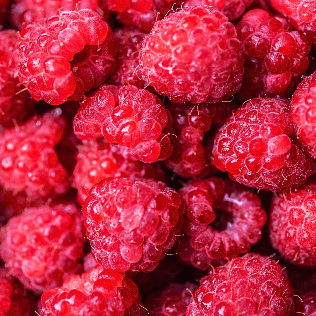 Framboises entières de la variété Meeker IQF