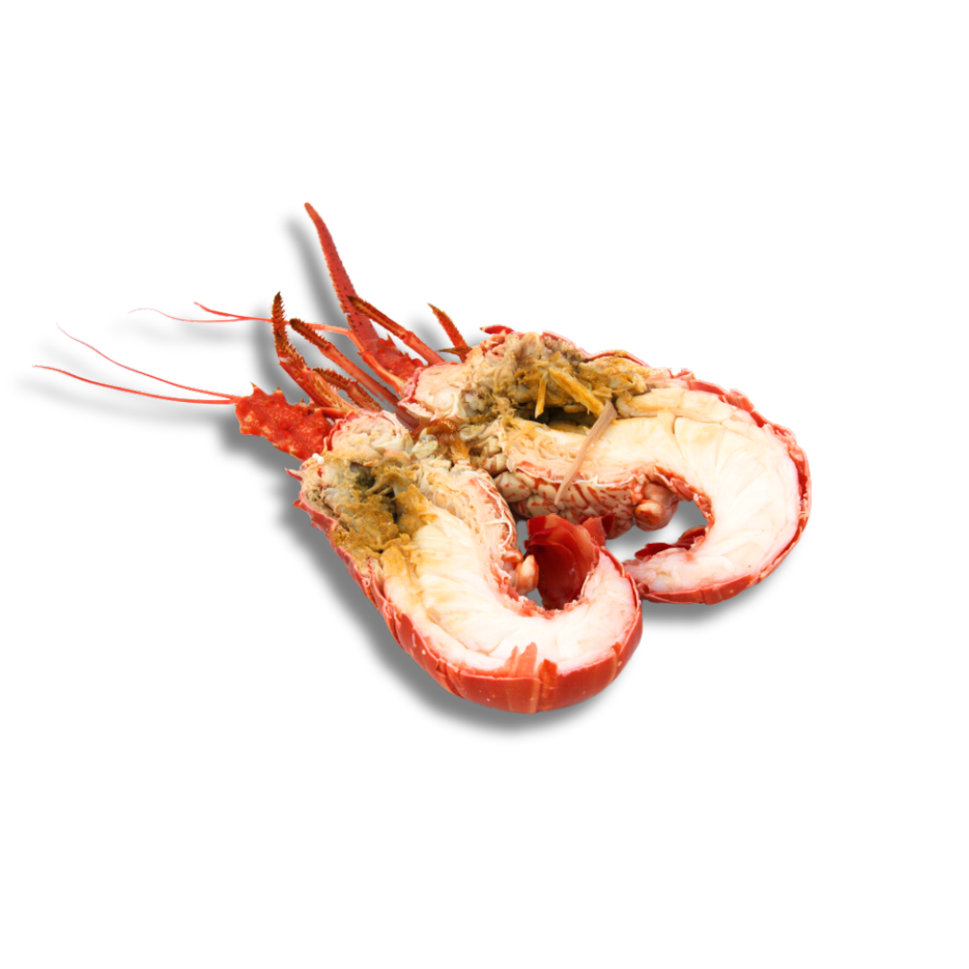 Demi langoustes américaines IQF, cuites et surgelées