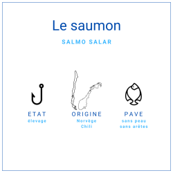 Pavé de saumon sans peau et sans arêtes surgelé