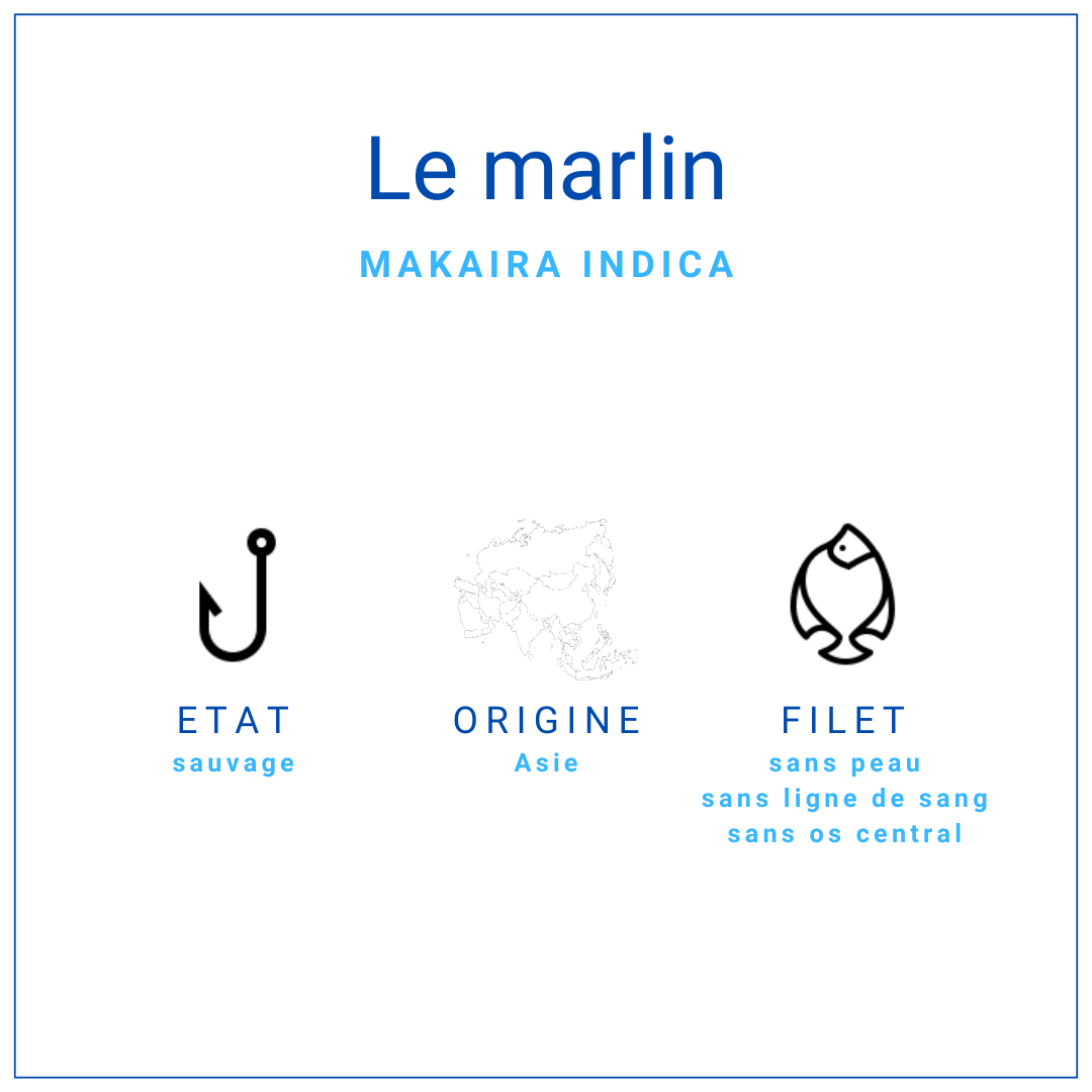 Tronçons de longe de marlin premium surgelés