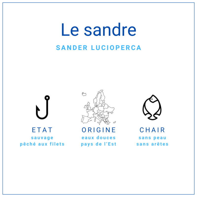 Chair de sandre sans peau surgelée