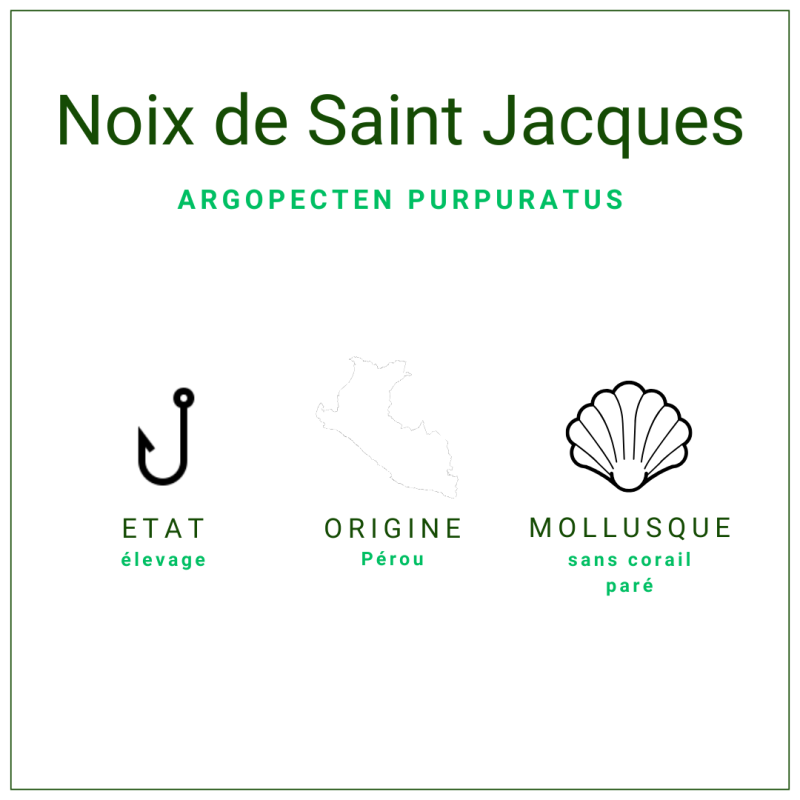 Noix de st Jacques crues s/c du Pérou 20/30