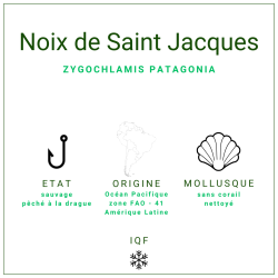 Noix de Saint-Jacques d'Argentine sans corail LBS