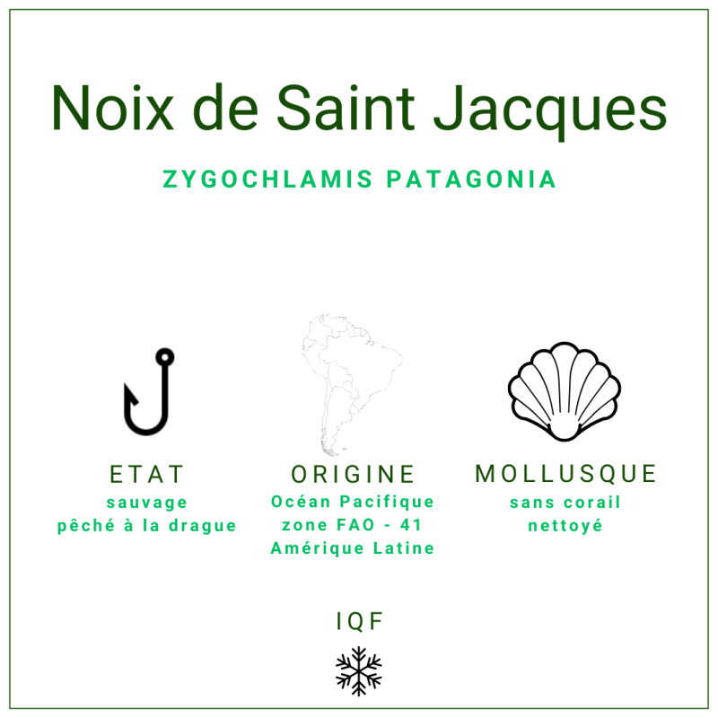 Noix de Saint-Jacques d'Argentine sans corail LBS