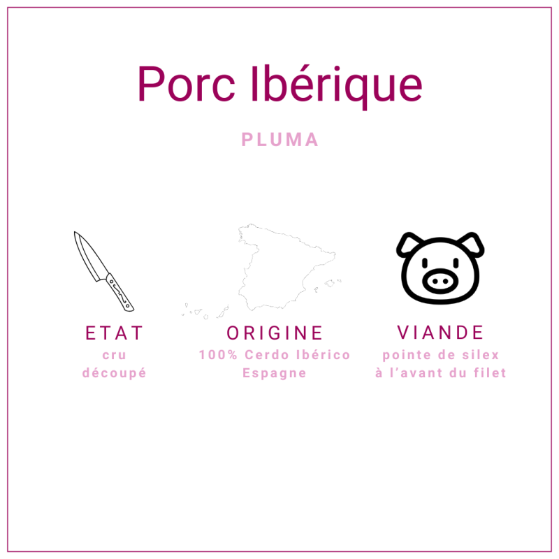 Pluma de porc Ibérique d'origine Espagnole