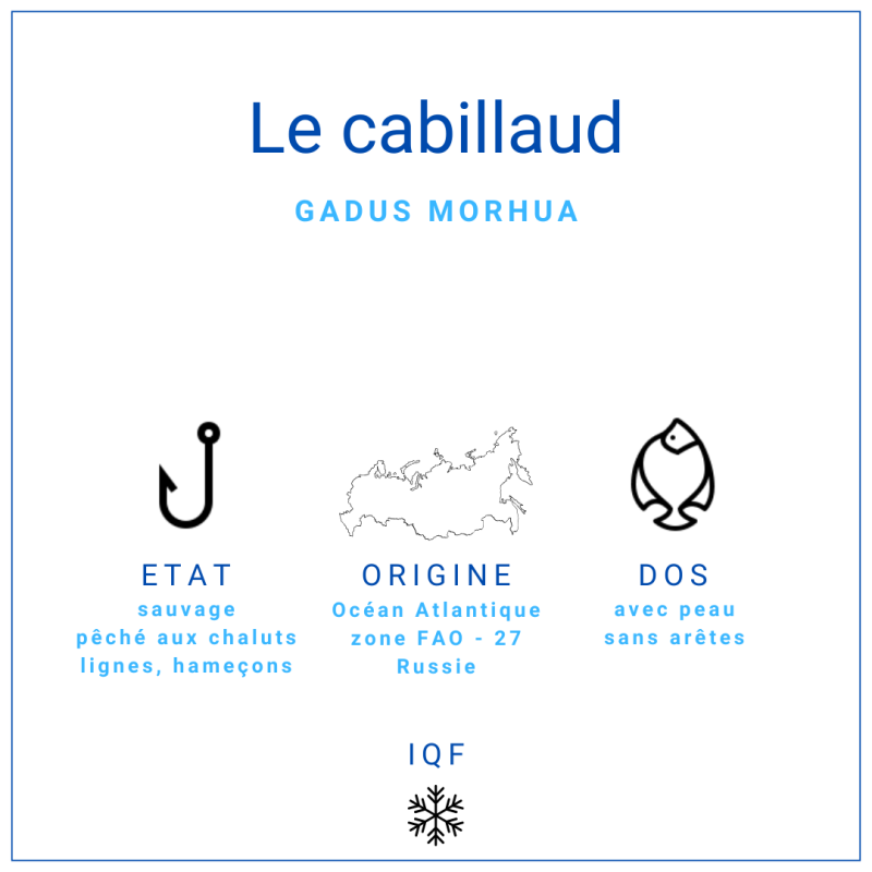 Dos de cabillaud avec peau, certifié MSC pêche durable