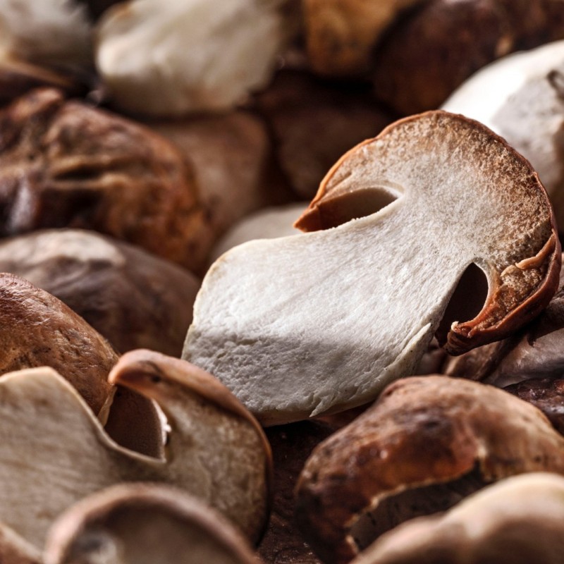 Morceaux de Cèpes "Boletus Edulis" surgelés