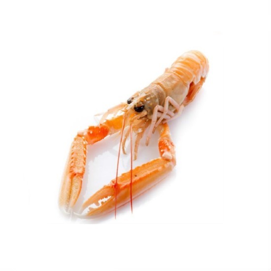 Langoustines Entières Crues 16/20